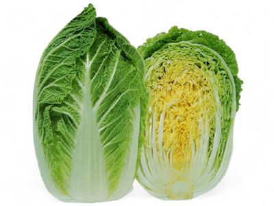 Col Chino