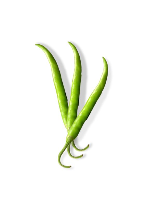 Chile chocolate, chile largo (chile para paches)