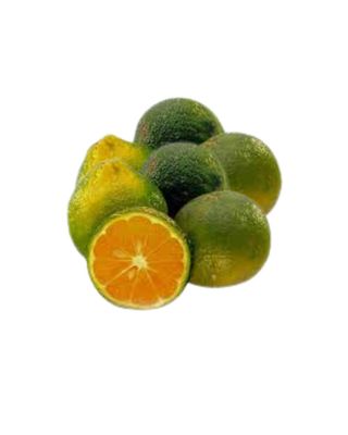 Limon mandarina