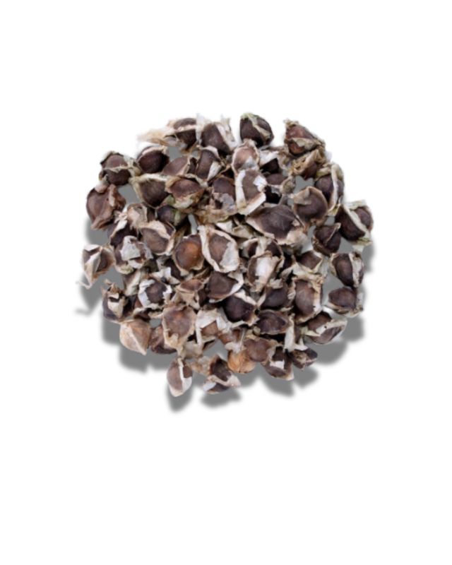Semilla de moringa