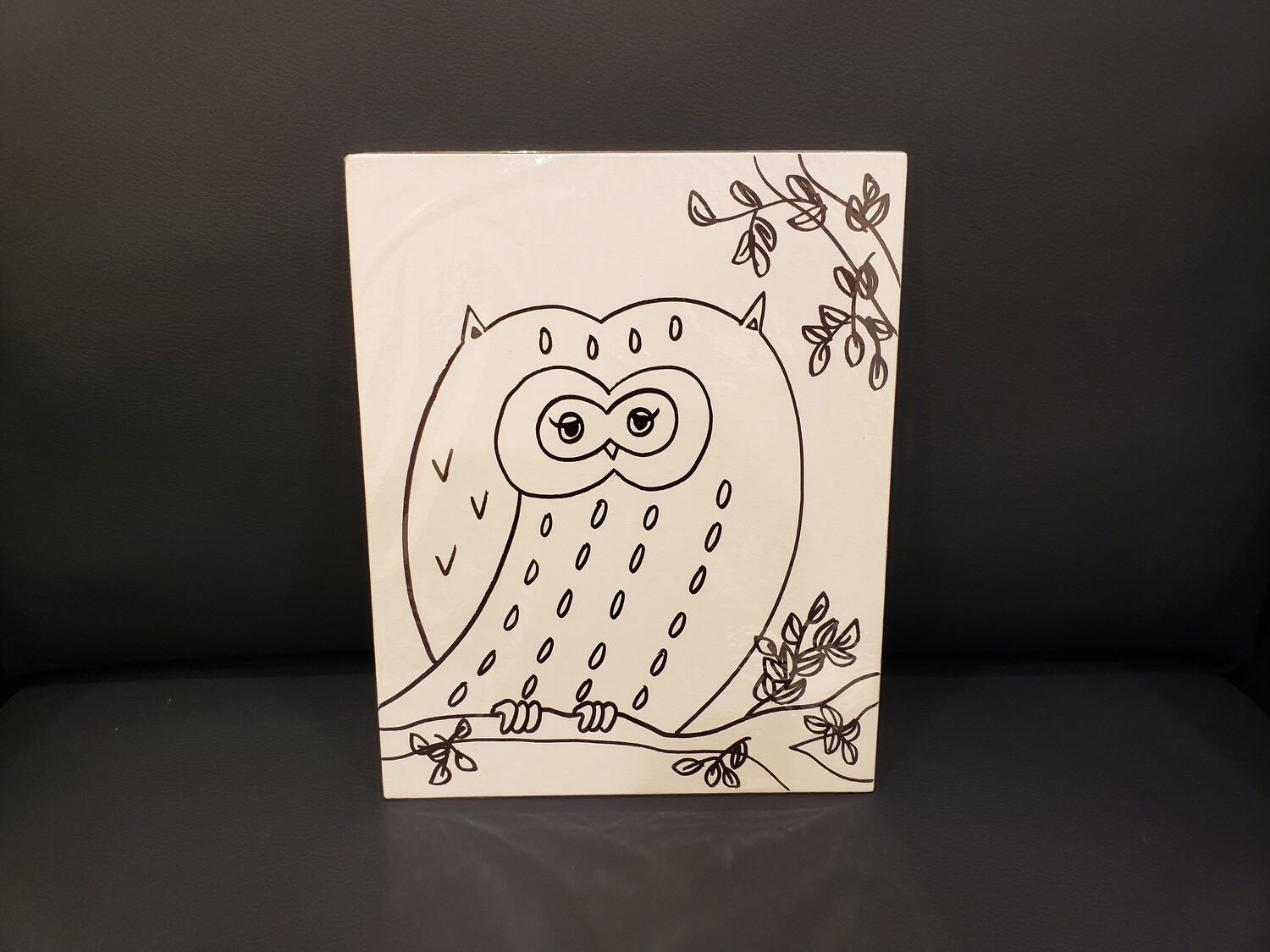 Owl Painting Set For Kids - Black &amp; White 8&quot; x 10&quot; Canvas With Paint