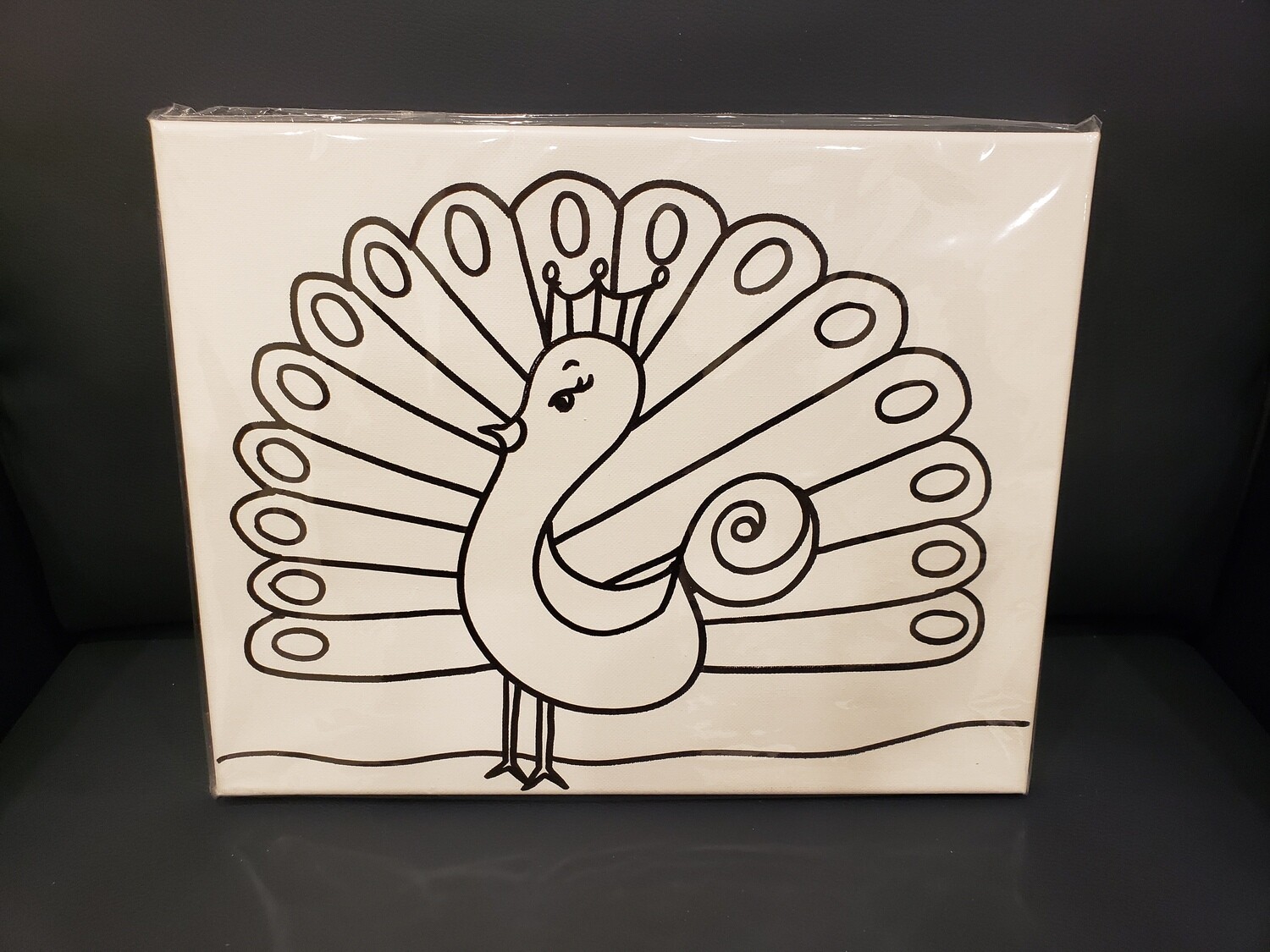 Peacock Painting Set Large - Black &amp; White 11&quot; x 14&quot; Canvas With Paint