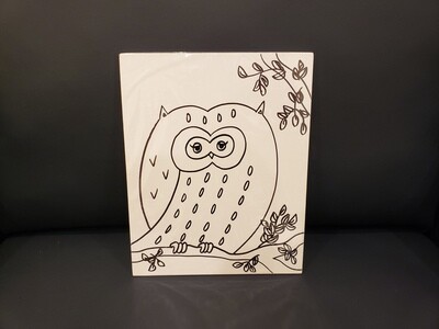 Owl Painting Set Large - Black &amp; White 11&quot; x 14&quot; Canvas With Paint