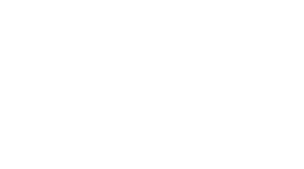 Online Store