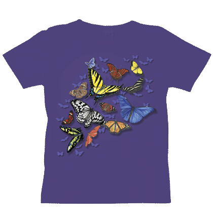 664L Butterfly Wonder