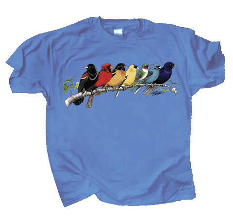 391 Songbird Spectrum