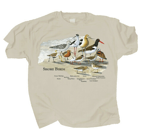 402 Shore Birds