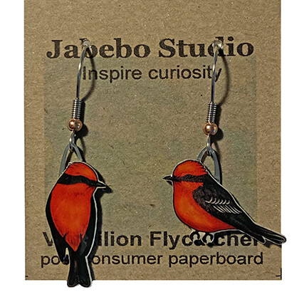J-221 Vermilion Flycatcher