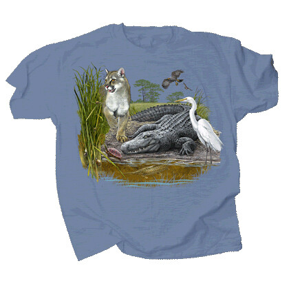 729 Gator Slough