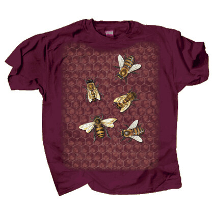 641 Bee Hive