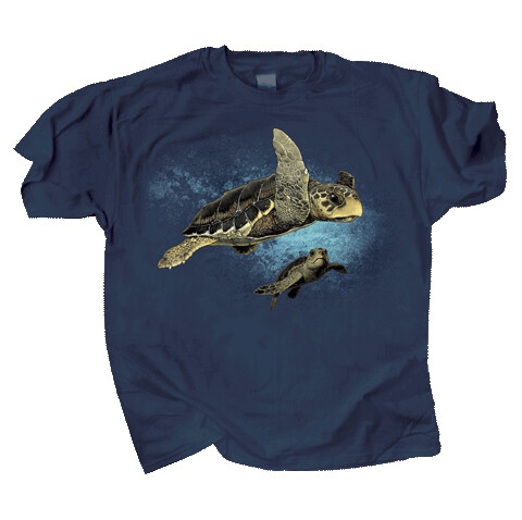 562 Loggerhead Turtles