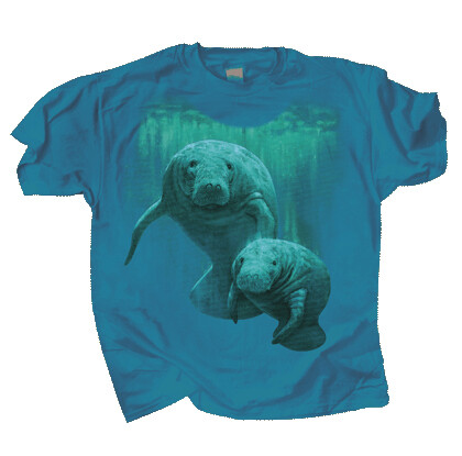 599 Manatee Duet