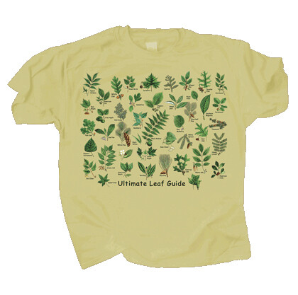 677 Ultimate Leaves