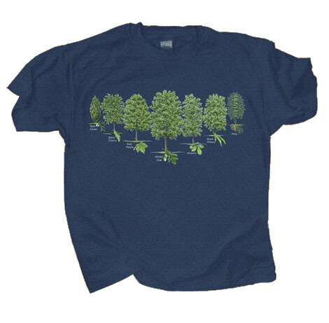 726 Trees of N. America