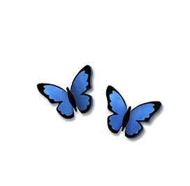 1732 Folded Bl Morpho Butterfly