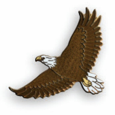 PB48 Bald Eagle in Flight pin