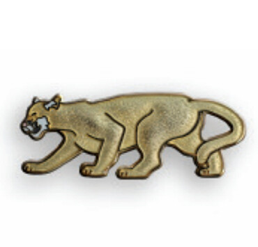 PM17 Florida Panther Pin