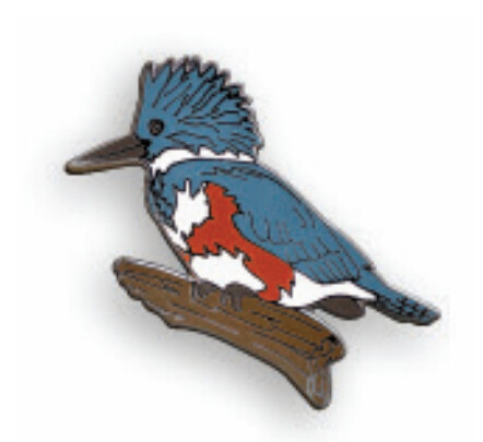 PB45 Belted Kingfisher Pin