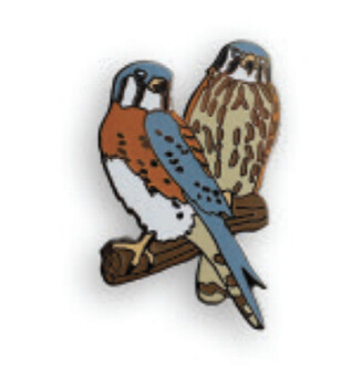PB63 American Kestrel Pin