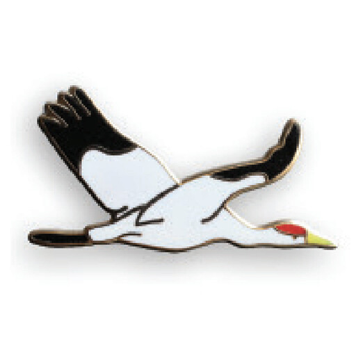 PB13 Whooping Crane