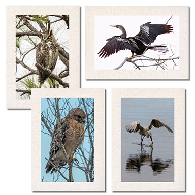 Hunters &amp; Fishers Set $17