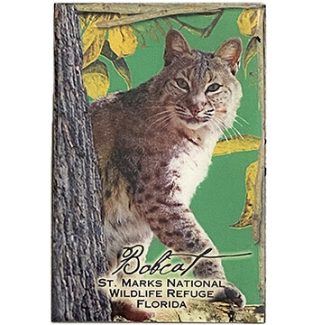 Bobcat BBmagnet
