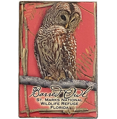 Barred Owl BBmagnet