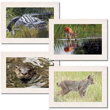 Animals at the Refuge Set $17