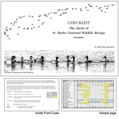 St. Marks&#39; Birds