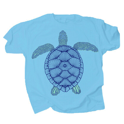 705K Green Sea Turtle Youth
