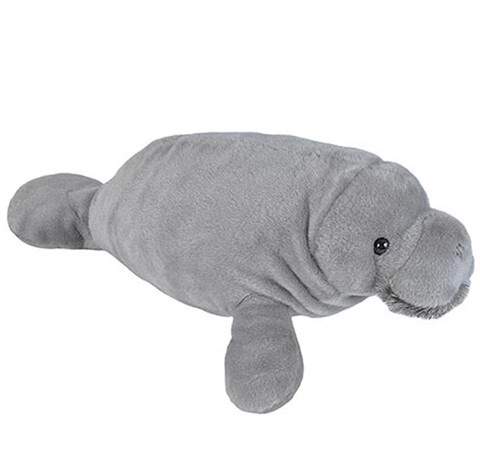 22454 Ck Mini Manatee