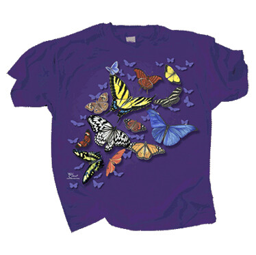 664K Butterfly Wonder Youth
