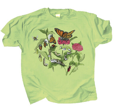 447K Butterfly Lifecycle Youth $12.95