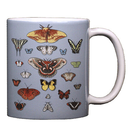 516 Lepidoptera Mug