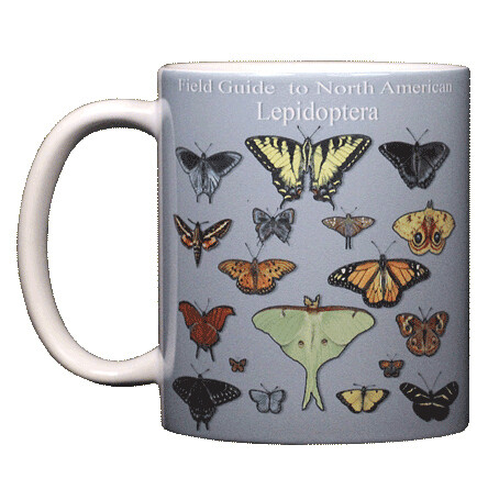 516 Lepidoptera Mug