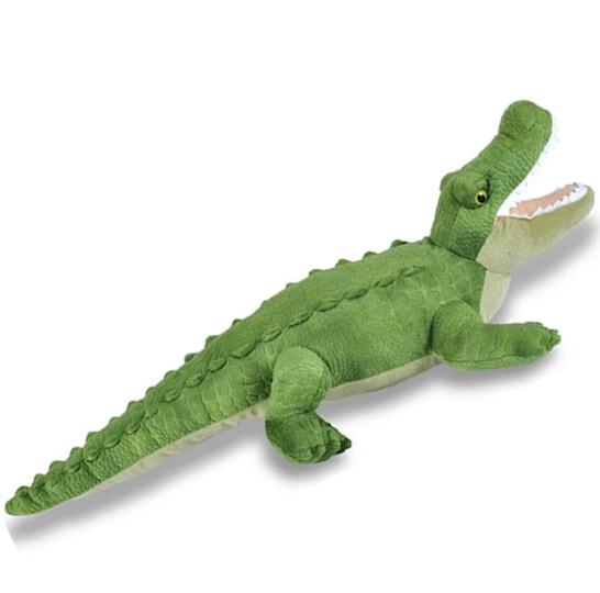 11653 Ck Alligator Green