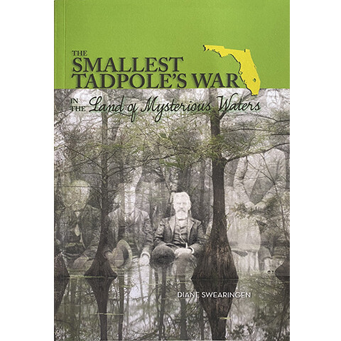 Smallest Tadpole&#39;s War (Swearingen)