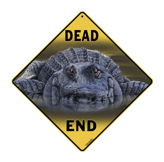 X365 Alligator Dead End