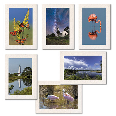 St. Marks Photo Card Sets