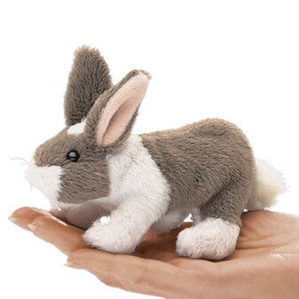 Finger Puppets!
