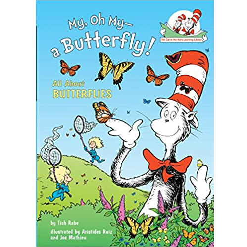 My , Oh My a Butterfly