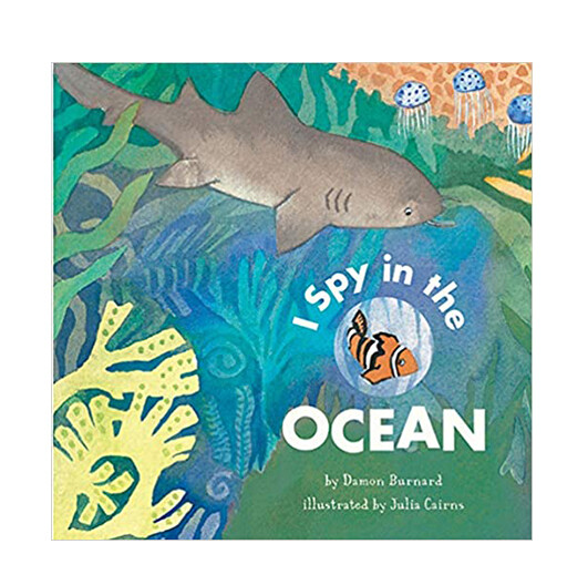I Spy in the Ocean