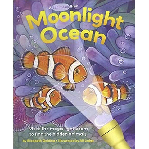 Moonlight Ocean