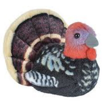 21386 Aud II Wild Turkey