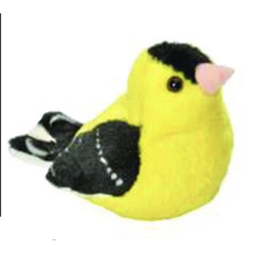 18223 Aud II Am. Goldfinch