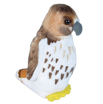 18237 Aud II Red Tailed Hawk