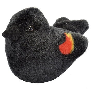19504 Red-Winged Blackbird