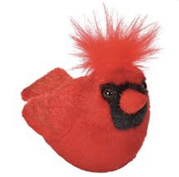 18221 Aud II Northern Cardinal