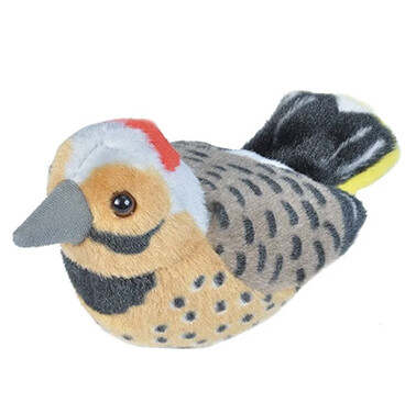 21382 Aud II N. Flicker
