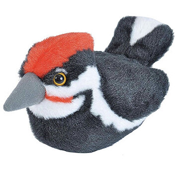 21384 Aud II Pileated Woodpecker